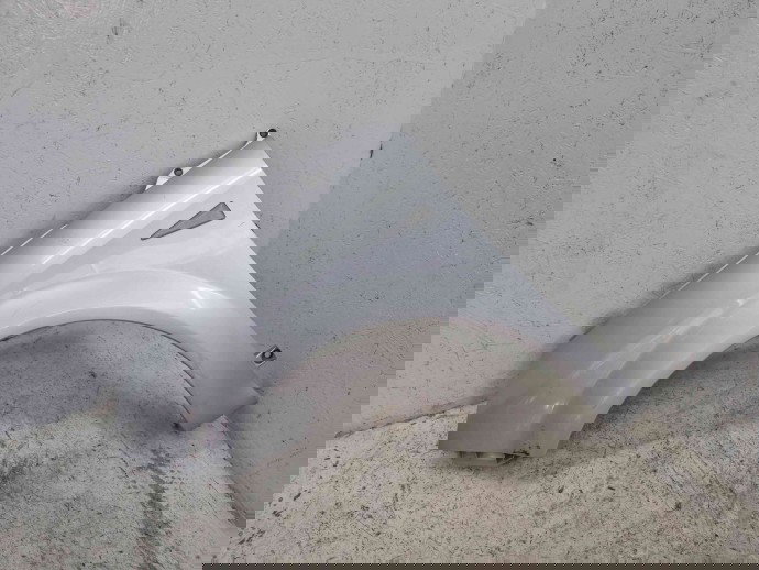 Aripa stanga fata Renault Scenic 2 [Fabr 2003-2008] TED69