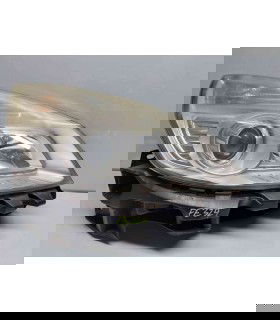  Far dreapta Renault Scenic 2 [Fabr 2003-2008] OEM