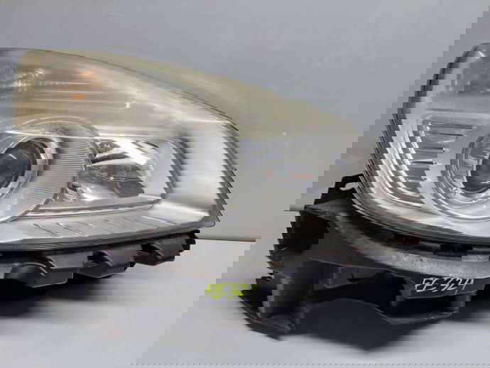 Far dreapta Renault Scenic 2 [Fabr 2003-2008] OEM