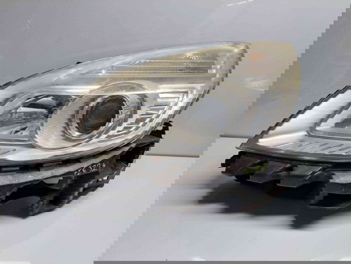  Far stanga Renault Scenic 2 [Fabr 2003-2008] OEM