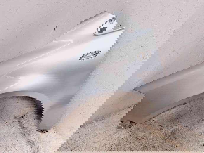 Aripa stanga fata Renault Scenic 2 [Fabr 2003-2008] TED69