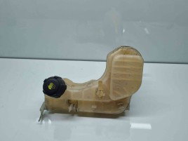 Vas expansiune Renault Laguna 3 Combi [Fabr 2007-2015] 217100014R