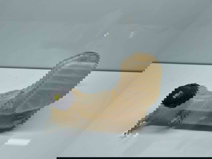 Vas expansiune Renault Laguna 3 Combi [Fabr 2007-2015] 217100014R