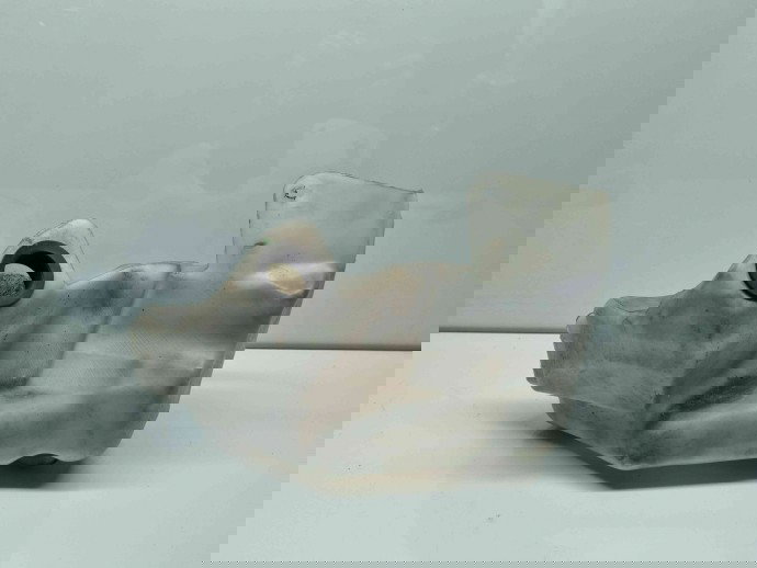  Vas lichid parbriz Renault Laguna 3 Combi [Fabr 2007-2015] 289100001N