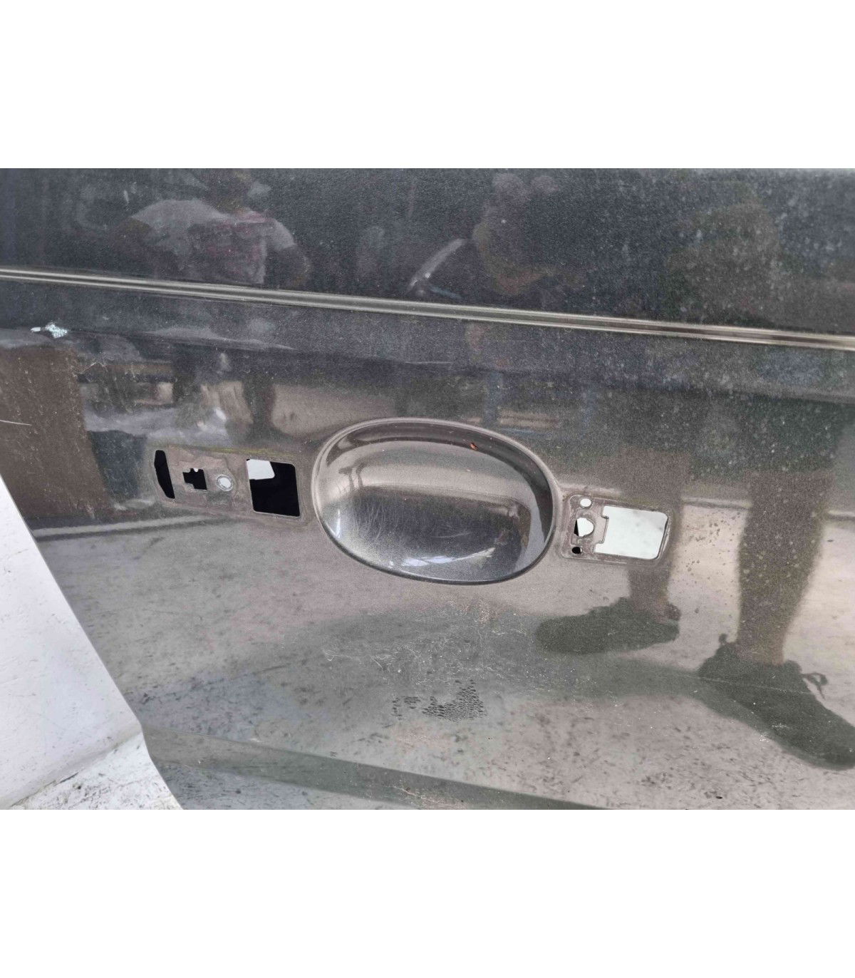 Usa dreapta fata LAND ROVER RANGE ROVER SPORT (L320) [Fabr 2005-2009] 904 Tonga Green