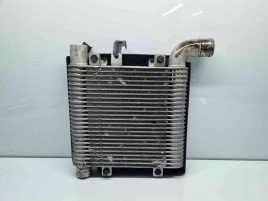 Radiator intercooler Hyundai Santa Fe 2 (CM) [Fabr 2005-2012] OEM 2.2 D4EB  