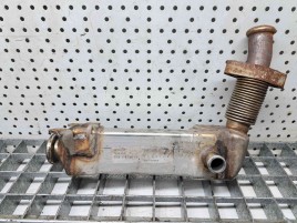 Racitor gaze Bmw 5 (E60) [Fabr 2004-2010] 376750-761 2.5 NC51 