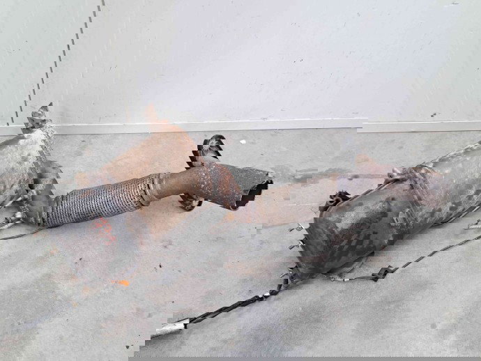 Catalizator, 5N0131765A, Seat Altea (5P1) 1.6tdi