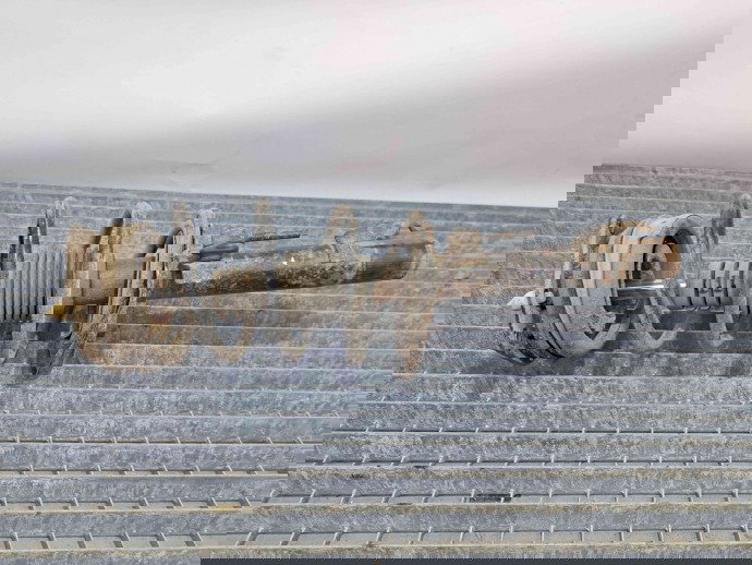 Amortizor stanga fata Renault Megane 2 [Fabr 2002-2008] OEM 1.6 B K4M 