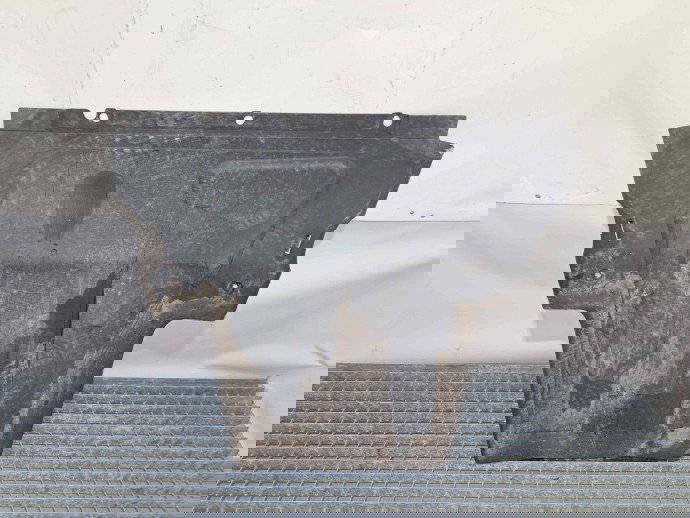 Scut motor Renault Megane 2 [Fabr 2002-2008] 8200563695