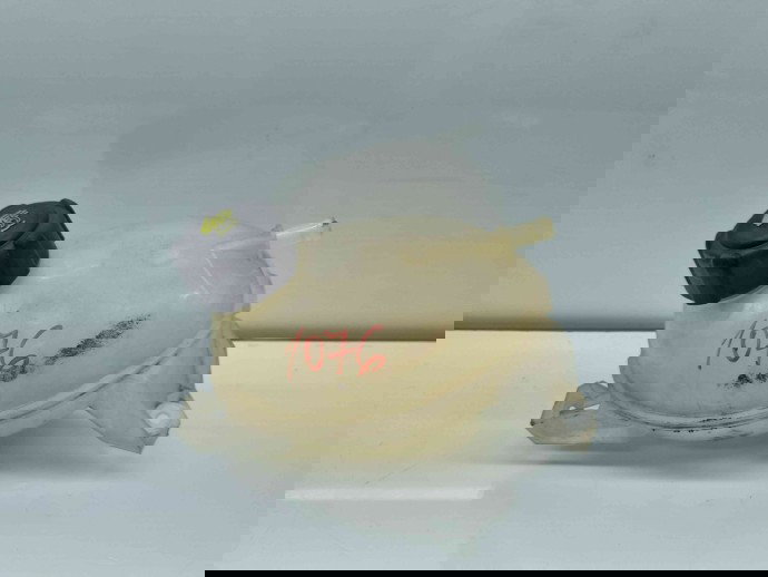 Vas expansiune Dacia Logan 2 [Fabr 2012-prezent] OEM