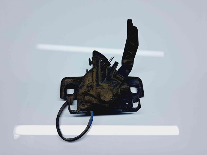 Broasca capota Dacia Logan 2 [Fabr 2012-prezent] 656013486R