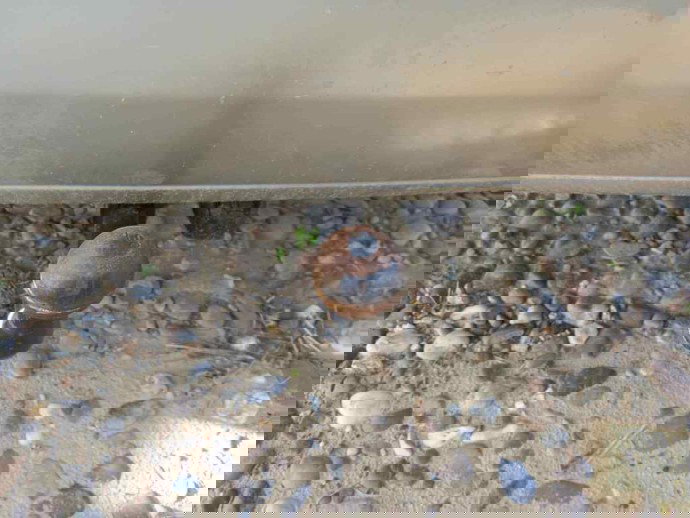 Cui remorcare Mercedes C220 W202 2.2 CDI OEM 1993-2000