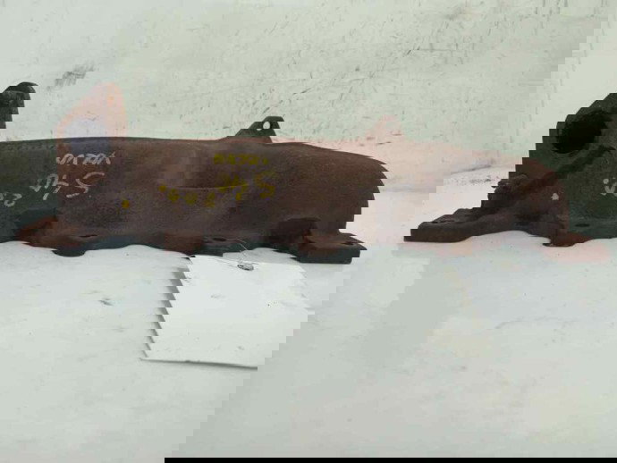 Galerie evacuare Volvo S40 2.0 TDCI 9646849080 2004-2012