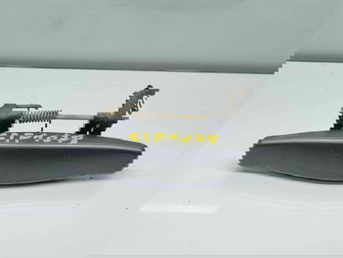 Maner usa stanga fata Dacia Duster [fabr 2010-2017] TEC67