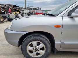 Aripa stanga fata Hyundai Santa Fe 1 (SM) [Fabr 2000-2006] OEM