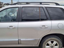 Usa stanga spate Hyundai Santa Fe 1 (SM) [Fabr 2000-2006] GRI