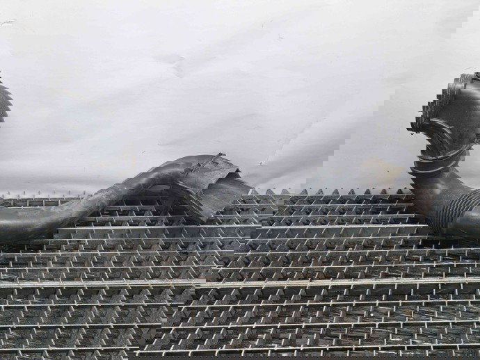 Tub aer, Dacia Dokker, 1.5 dci, K9K612, 165556691R