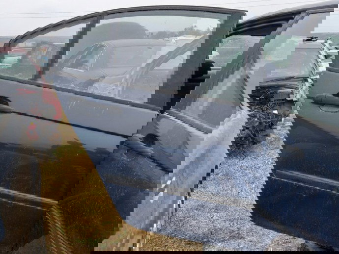 Usa dreapta spate BMW 320D E46 2.0 D OEM 1998-2005