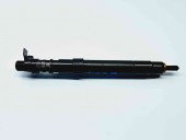 Injector Ford Kuga II [Fabr 2012-prezent] 9686191080 2.0 C20DD0X   