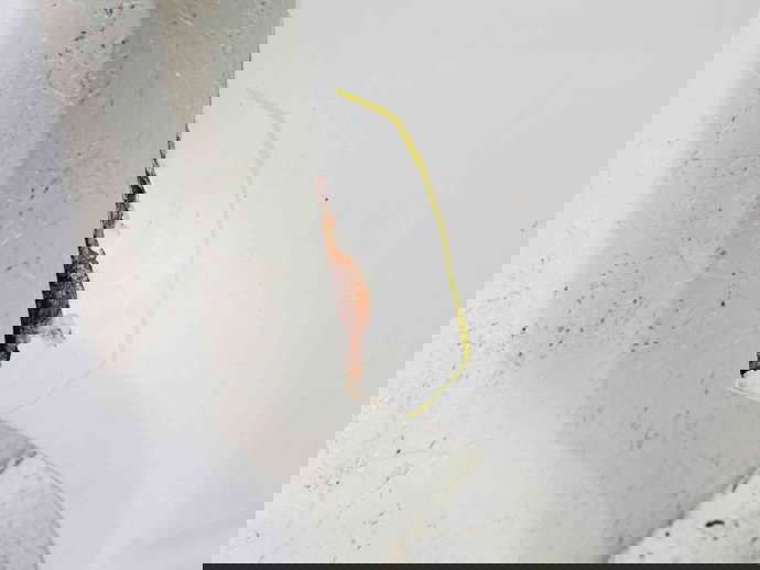 Usa stanga fata Volkswagen Transporter 5 (7HB, 7HJ) [Fabr 2004-2013] L902