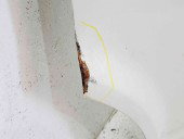 Usa stanga fata Volkswagen Transporter 5 (7HB, 7HJ) [Fabr 2004-2013] L902