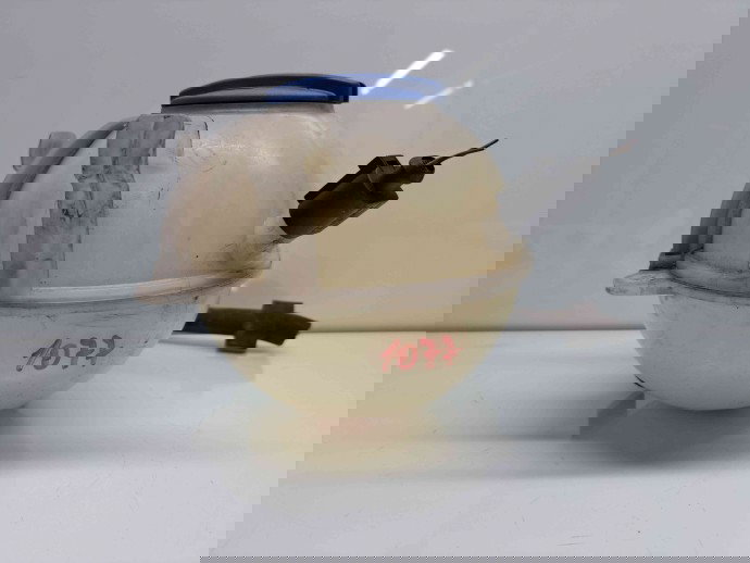 Vas expansiune Volkswagen Jetta 3  (1K2) [Fabr 2005-2010] 1K0121407A