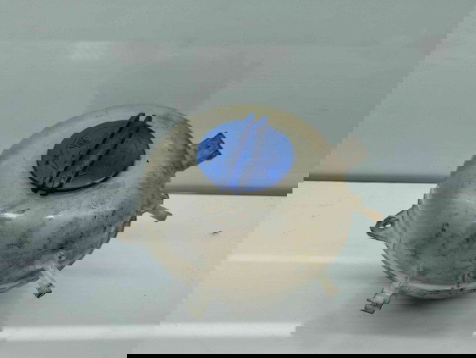 Vas expansiune Volkswagen Transporter 5 (7HB, 7HJ) [Fabr 2004-2013] OEM