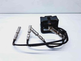 Bobina inductie Skoda Octavia 2 (1Z3) [Fabr 2004-2013] OEM 1.6 Benz BSE 75KW / 102CP 1.6 Benz BSE 75KW / 102CP
