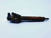 Injector Bmw X1 (E84) [Fabr 2009-2015] 7798446 2.0 N47 105KW / 140CP  