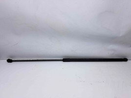 Amortizor capota Audi A6 Avant (4F5, C6) [Fabr 2005-2010] 4F0823359A