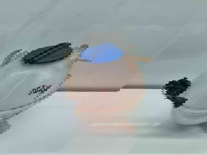 Vas expansiune Audi A3 Sportback (8PA) [Fabr 2004-2013] 1K0121407A