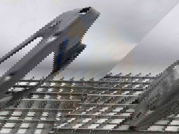 Suport aripa stanga fata Audi A6 Avant (4F5, C6) [Fabr 2005-2010] 4F0821136A