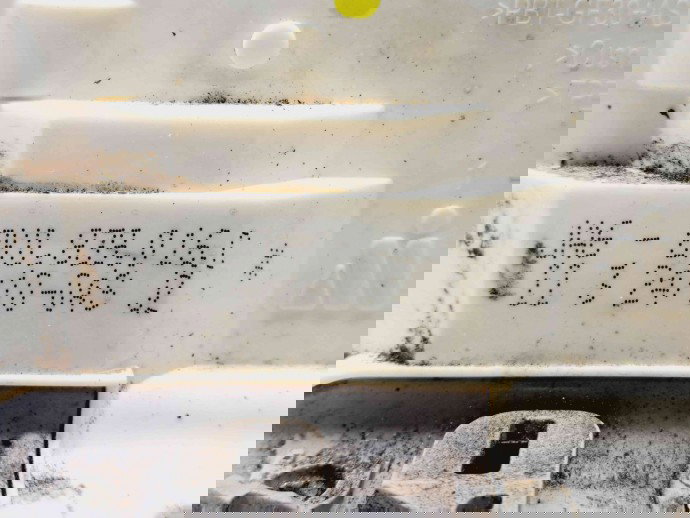 Broasca usa dreapta spate Audi A5 Sportback (8TA) [Fabr 2009-2015] 8K0839016C