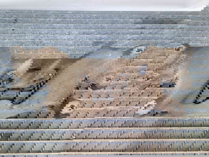 Tampon cutie viteze Audi A6 Avant (4F5, C6) [Fabr 2005-2010] 4F0399115AS 2.0 TDI CAHA 