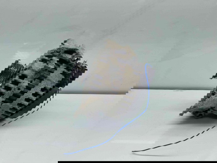 Alternator Mercedes Clasa E (W211) [Fabr 2002-2009] A0131549002 | 0121715029 2.2 CDI 646821   