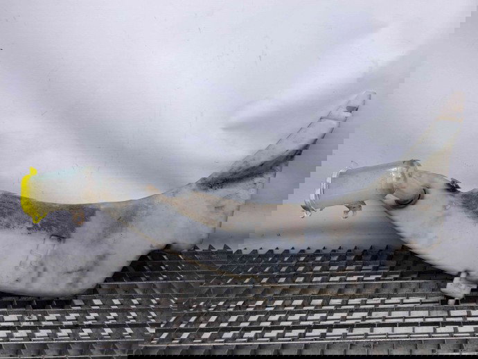 Vas lichid parbriz Ford Transit Connect (P65) [Fabr 2002-2013] 2T14-17618-AB