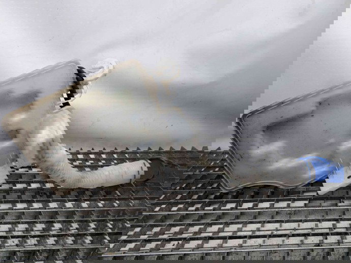 Vas lichid parbriz Volkswagen Polo (6R) [Fabr 2009-2016] 6R0955453L