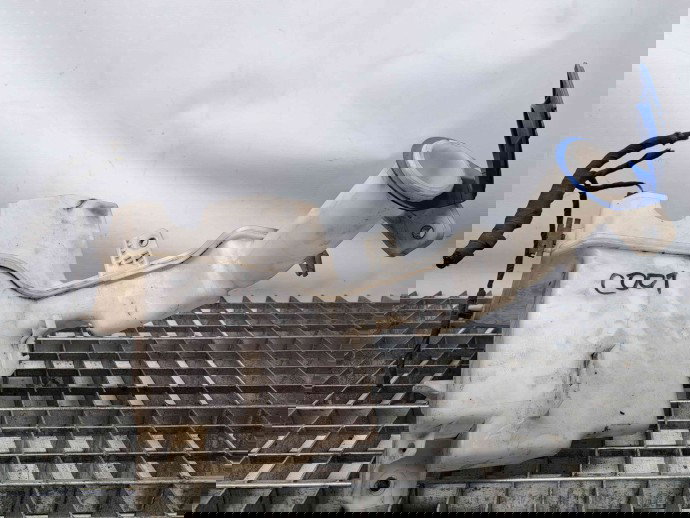 Vas lichid parbriz Volkswagen Passat B7 (362) [Fabr 2010-2014] 3AA955453G