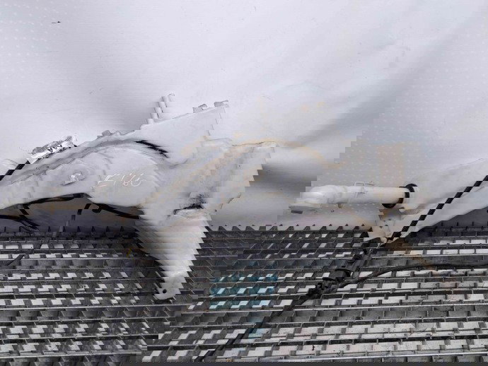 Vas lichid parbriz Ford Kuga I [Fabr 2008-2012] 3M51-13K163-AE