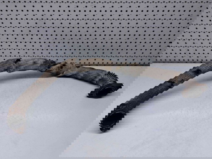 Conducta gaze LAND ROVER Freelander 2 (FA) [Fabr 2006-2014] OEM 2.2 DOHC 