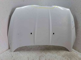 Capota Ford Kuga II [Fabr 2012-prezent] FROZEN WHITE
