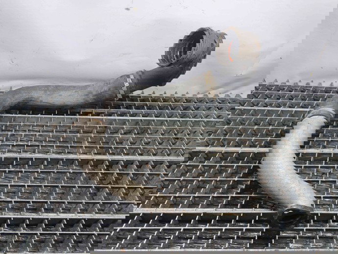 Tub intercooler Opel Astra J [Fabr 2009-2015] 13386923 2.0 CDTI A20DTH  