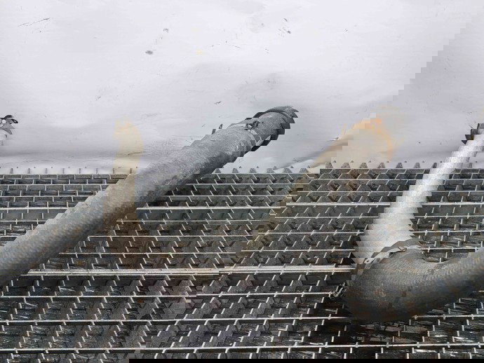 Tub intercooler Opel Astra J [Fabr 2009-2015] 13386923 2.0 CDTI A20DTH  