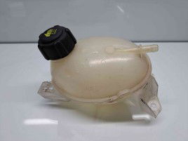 Vas expansiune Renault Clio 4 [Fabr 2012-2020] 2171000680R