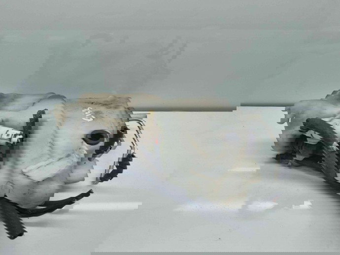  Vas lichid parbriz Mercedes Clasa E (W211) [Fabr 2002-2009] 2118603860