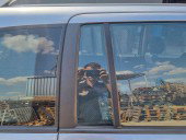 Geam fix usa dreapta spate Opel Zafira A (F75) [Fabr 1999-2005] OEM