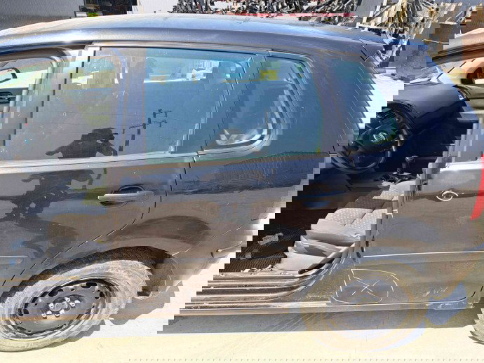 Usa stanga spate Volkswagen Polo (9N) [Fabr 2001-2008] LC9Z