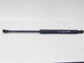 Amortizor capota Bmw 3 (E90) [Fabr 2005-2011] 7060550