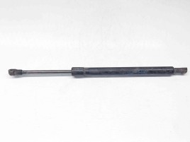 Amortizor haion Bmw 3 (E90) [Fabr 2005-2011] 7060623